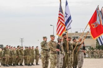 NDAA Section 219