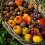 Why Is PT Organics Fruit Pouch Recalled?