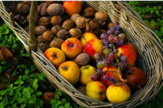 Why Is PT Organics Fruit Pouch Recalled?