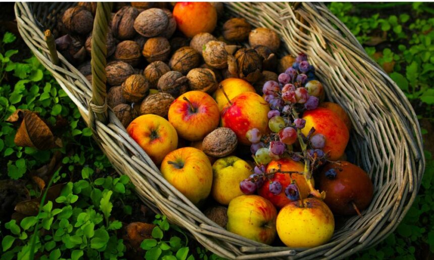 Why Is PT Organics Fruit Pouch Recalled?